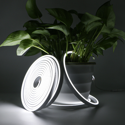 20×10mm LED Flettere Light al neon, corda leggera al neon flessibile impermeabile IP67