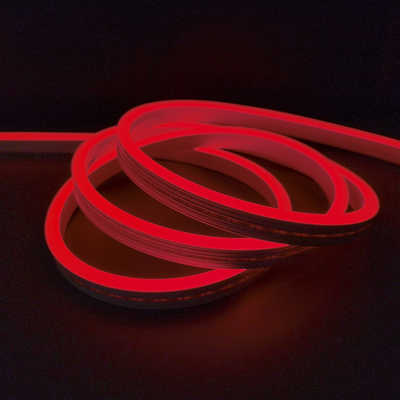 Colore al neon impermeabile di RGB della luce di striscia di IP65 SMD LED che cambia 24V 12V