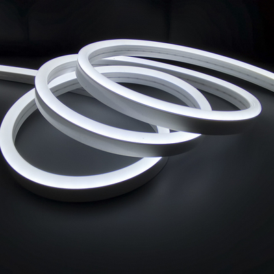 SMD5050 LED Flettere Light al neon 12V 24V IP67 impermeabile per la decorazione