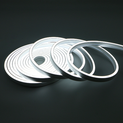 20×10mm LED Flettere Light al neon, corda leggera al neon flessibile impermeabile IP67