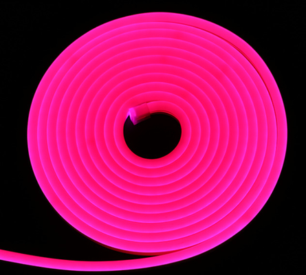 Colore al neon impermeabile di RGB della luce di striscia di IP65 SMD LED che cambia 24V 12V