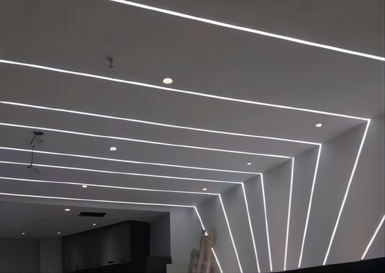 Metropolitana flessibile 12×12mm del silicone del LED per il ODM dell'OEM al neon delle luci del LED