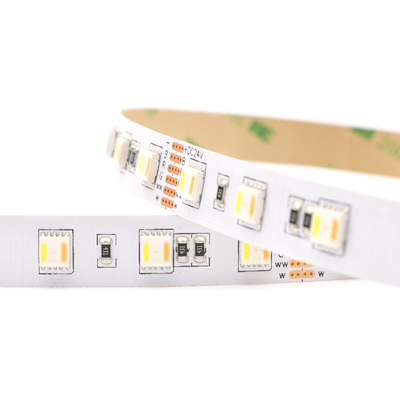 La CC 24V 12V 5050 SMD LED spoglia 5 In1 regolabili flessibili RGBWW RGB IL TDC